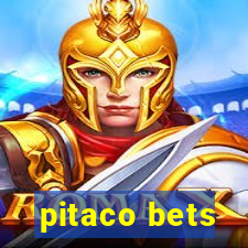 pitaco bets